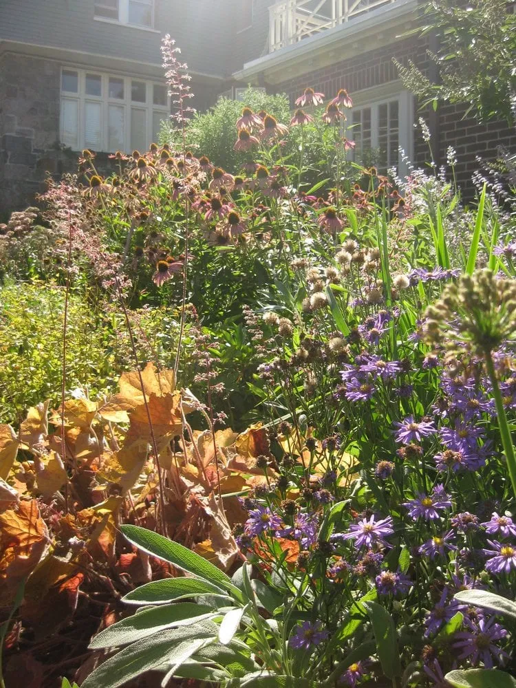 Reliable residential landscaping in Somerville, MA - Your Garden Curator