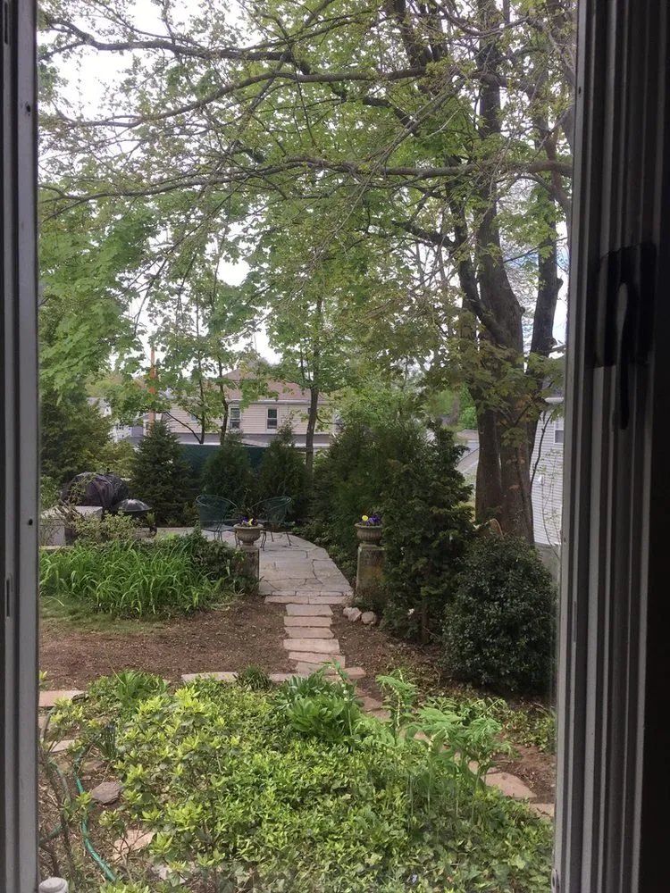 Expert yard maintenance near you in Somerville, MA by Your Garden Curator