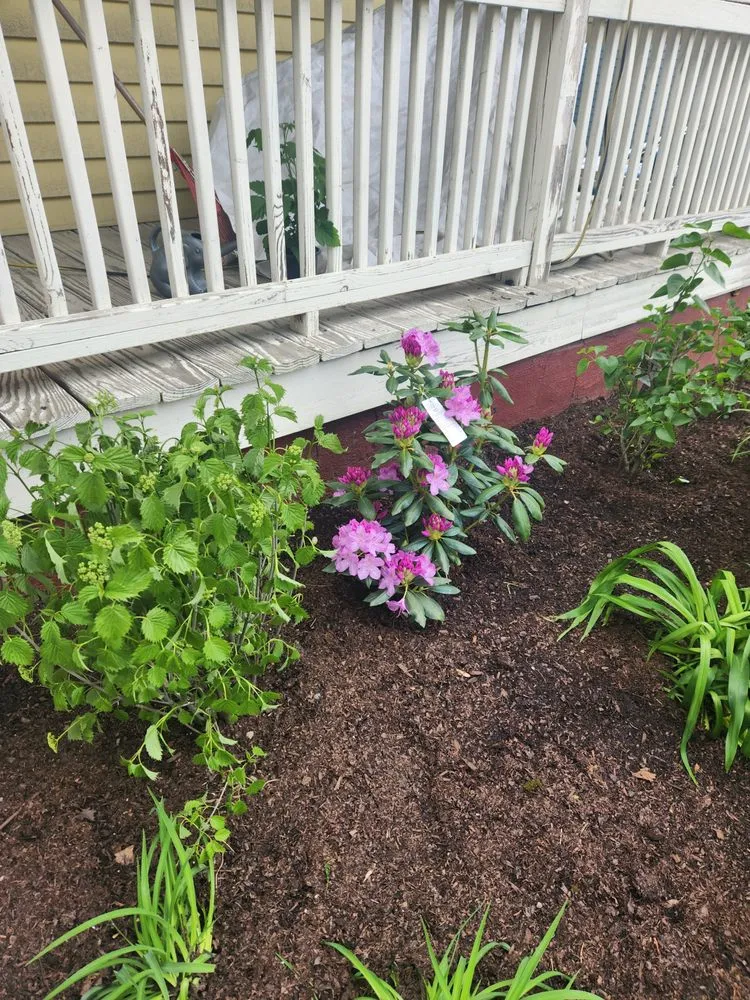 Professional lawn mowing service experts serving Somerville, MA - Your Garden Curator