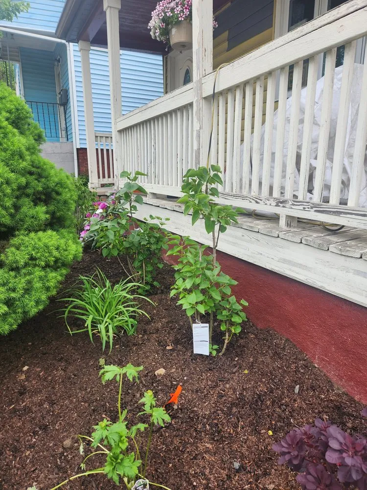 Top-rated garden landscaping experts serving Somerville, MA - Your Garden Curator