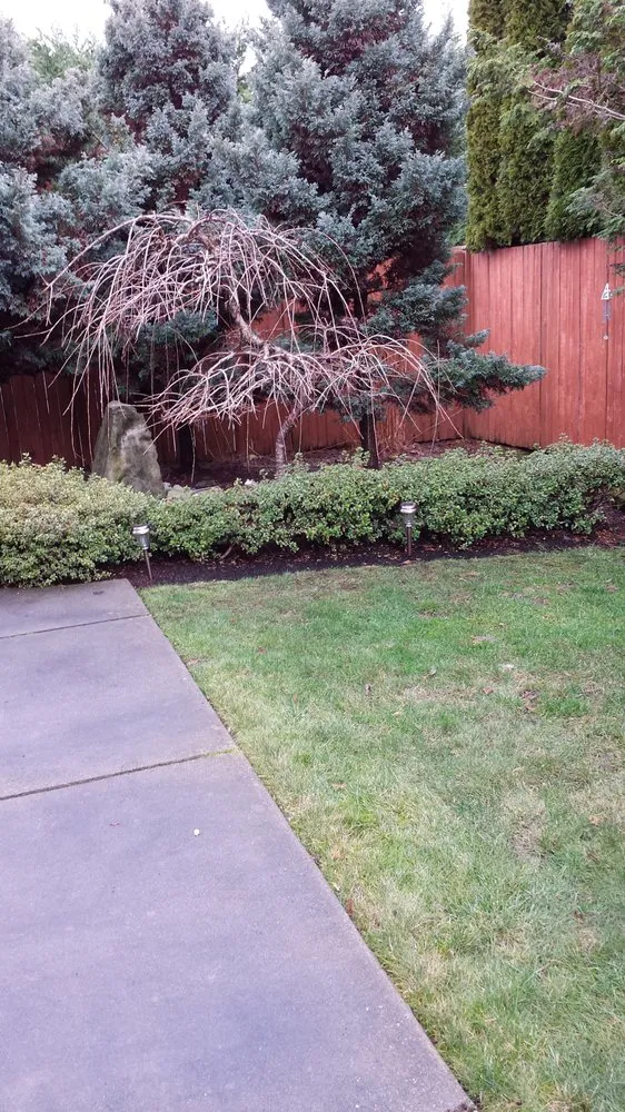 Local residential landscaping for residential properties in Sammamish, WA by Your Garden