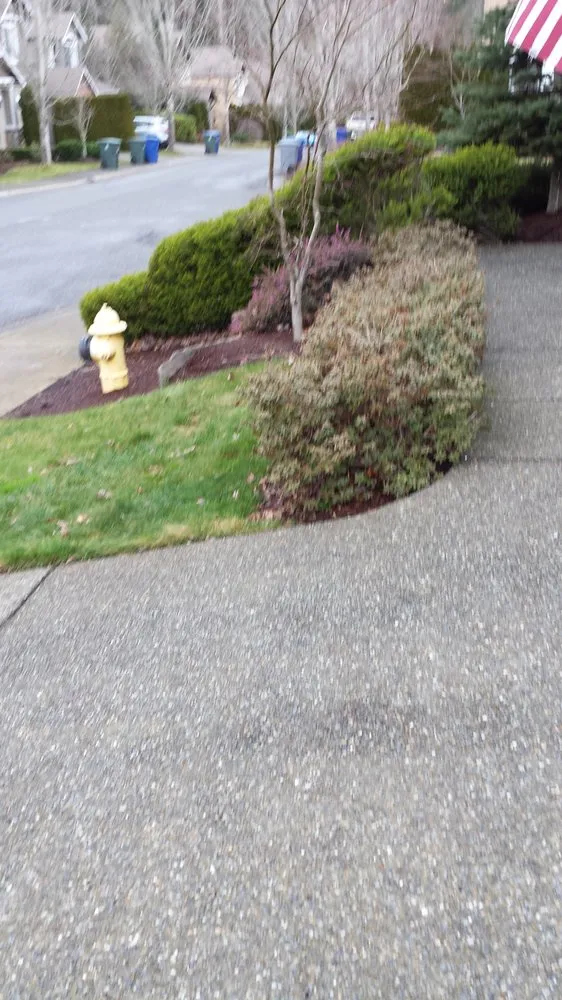 Top-rated residential landscaping near you across Sammamish, WA - Your Garden