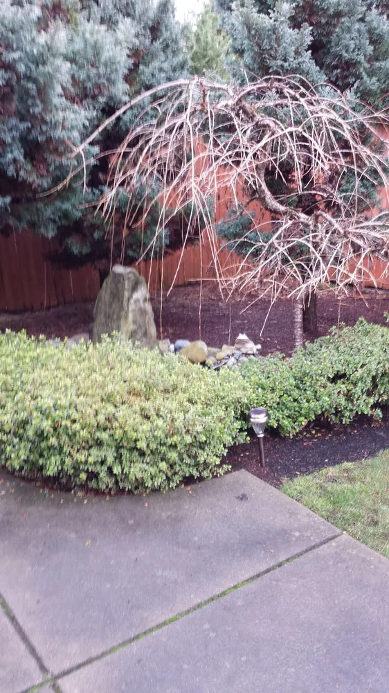 Trusted landscape design experts serving Sammamish, WA - Your Garden