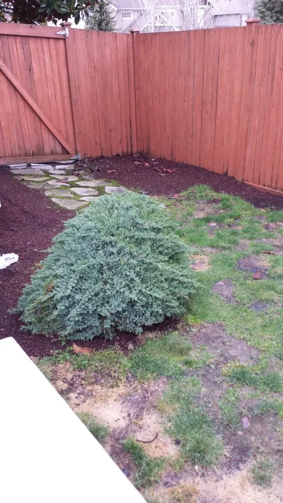 Top-rated landscape installation for beautiful yards in Sammamish, WA by Your Garden