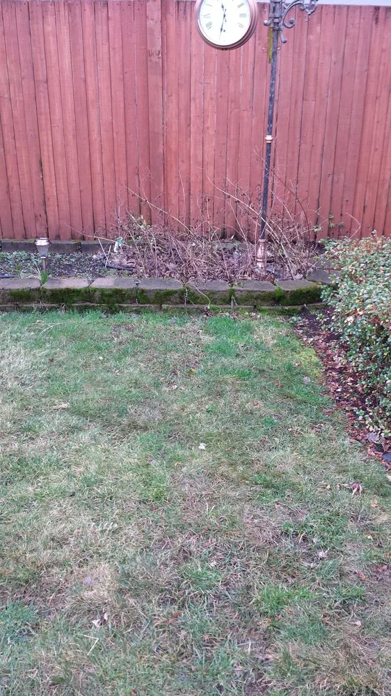 Local garden landscaping for residential properties across Sammamish, WA - Your Garden