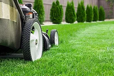 Expert lawn mowing service experts serving Sammamish, WA - Your Garden