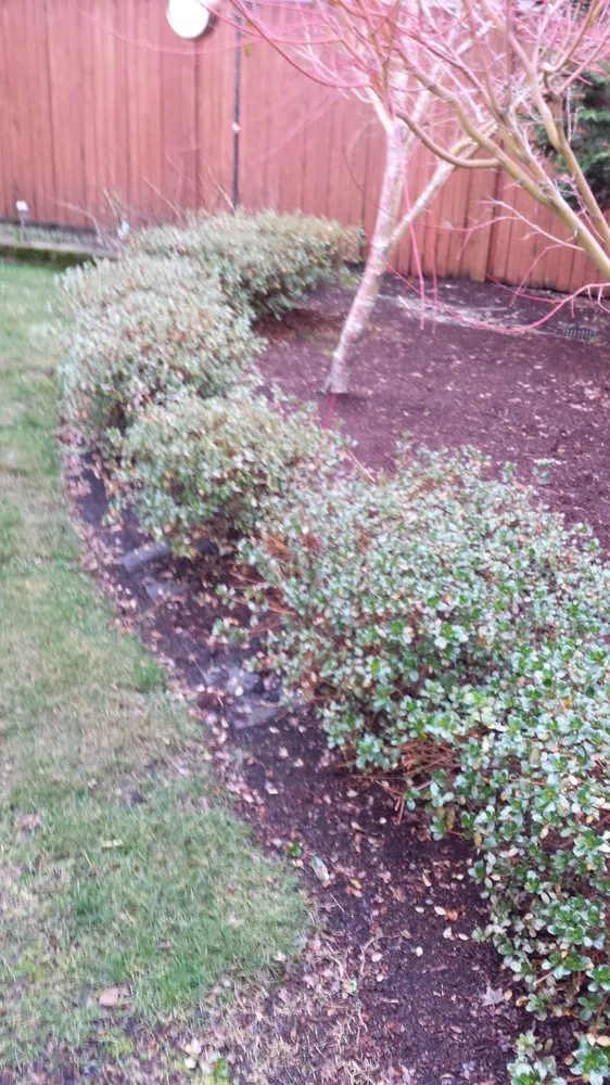 Top-rated landscaping services near you across Sammamish, WA - Your Garden