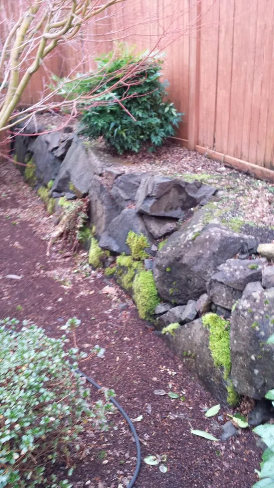 Expert landscape installation experts serving Sammamish, WA - Your Garden