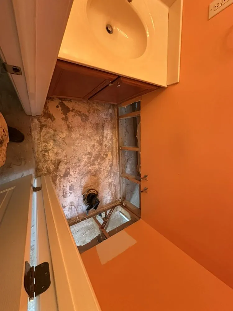 Expert outdoor landscaping in Durham, NC by Your Green Guys