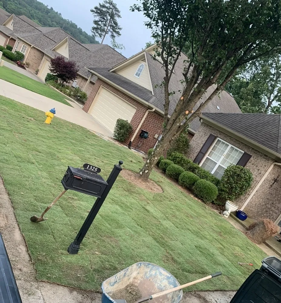 Reliable yard cleanup service near you across Durham, NC - Your Green Guys