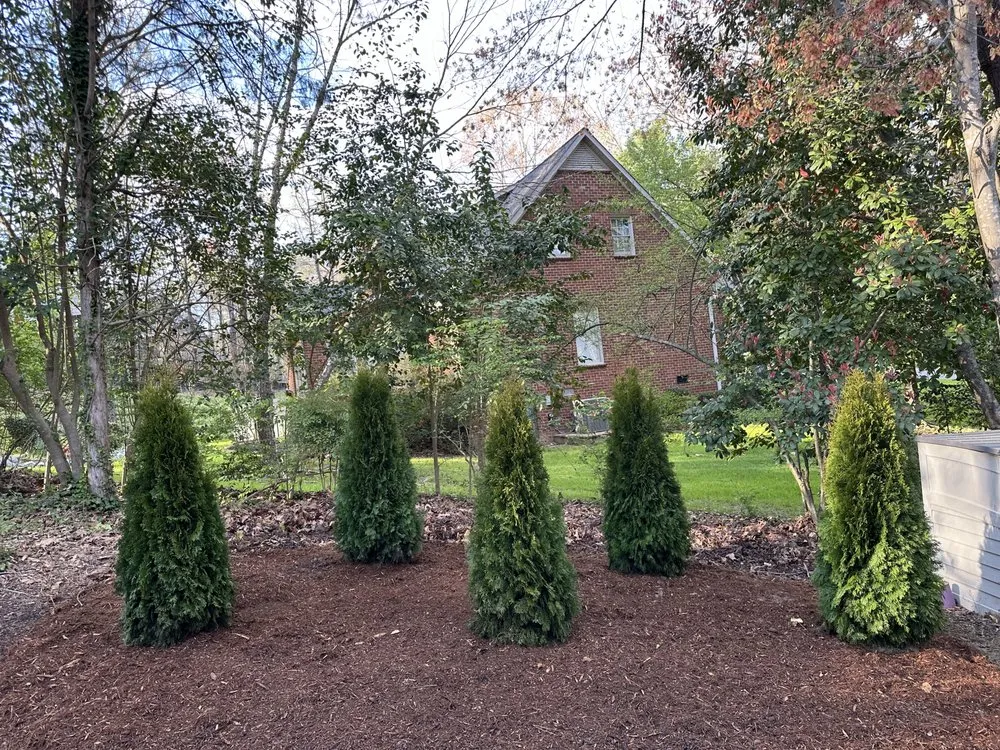 Trusted outdoor landscaping in Durham, NC - Your Green Guys