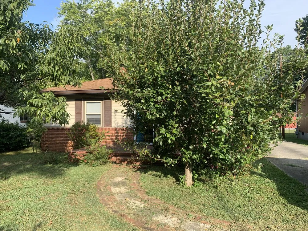 Expert yard maintenance in Durham, NC by Your Green Guys