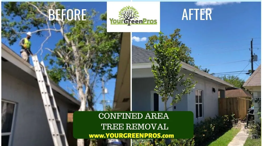 Reliable landscaping services near you across Margate, FL - Your Green Pros