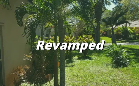 Top-rated residential landscaping for outdoor upgrades across Margate, FL - Your Green Pros