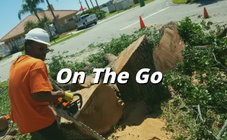 Affordable lawn mowing service in Margate, FL by Your Green Pros