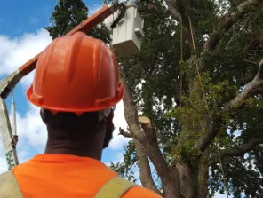 Reliable landscape installation for year-round maintenance across Margate, FL - Your Green Pros