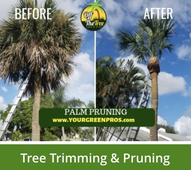 Professional yard maintenance experts serving Margate, FL - Your Green Pros