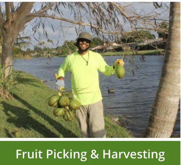 Expert lawn care service with custom design in Margate, FL by Your Green Pros