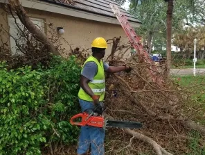 Local yard cleanup service in Margate, FL - Your Green Pros