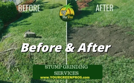 Affordable garden landscaping in Margate, FL - Your Green Pros