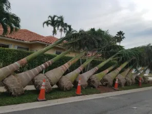 Custom yard maintenance experts serving Margate, FL - Your Green Pros