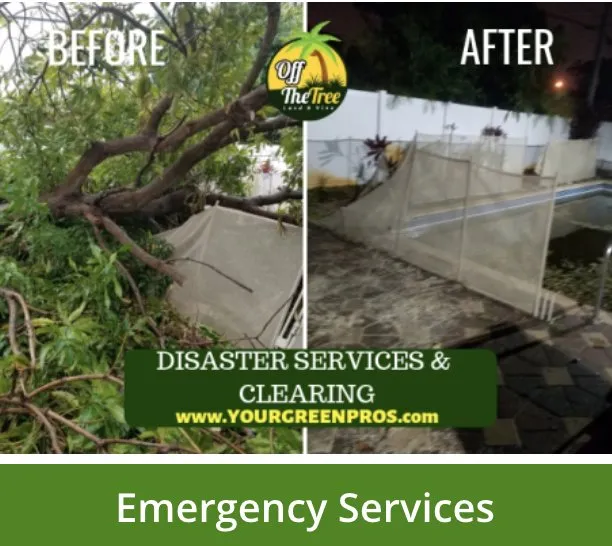 Trusted residential landscaping near you across Margate, FL - Your Green Pros