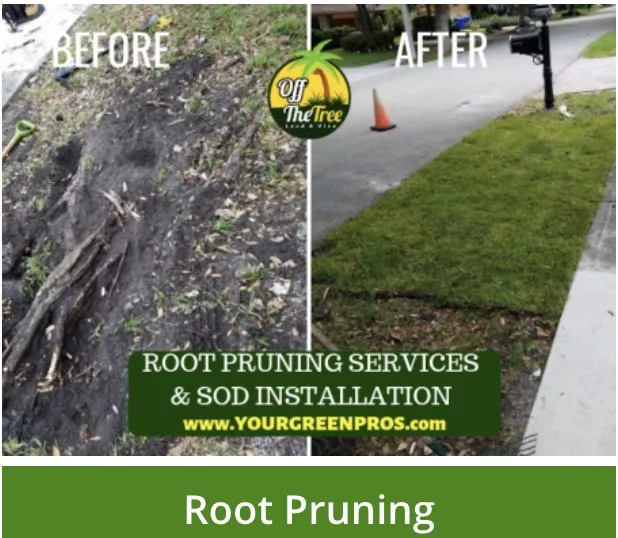 Custom lawn mowing service experts serving Margate, FL - Your Green Pros