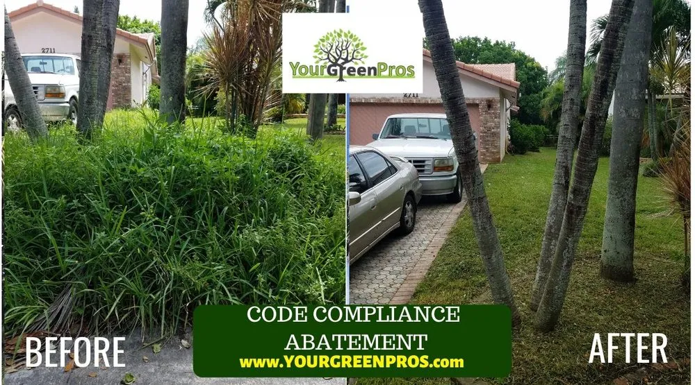 Local lawn care service in Margate, FL - Your Green Pros