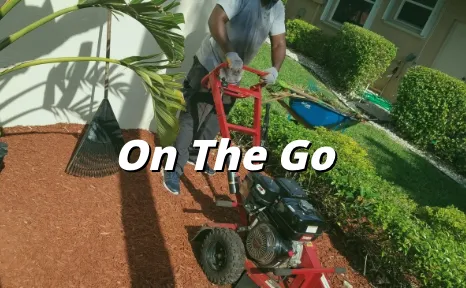 Affordable outdoor landscaping for residential properties across Margate, FL - Your Green Pros