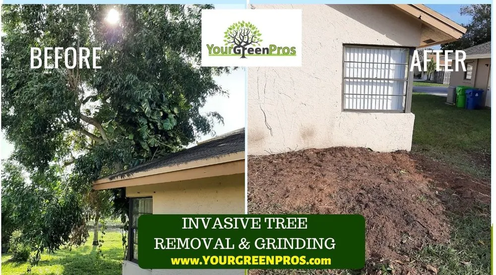 Local lawn care service in Margate, FL - Your Green Pros