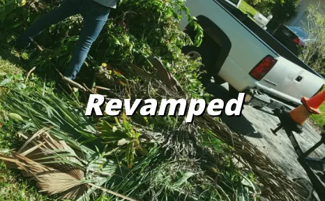 Trusted landscape design for homes in Margate, FL by Your Green Pros