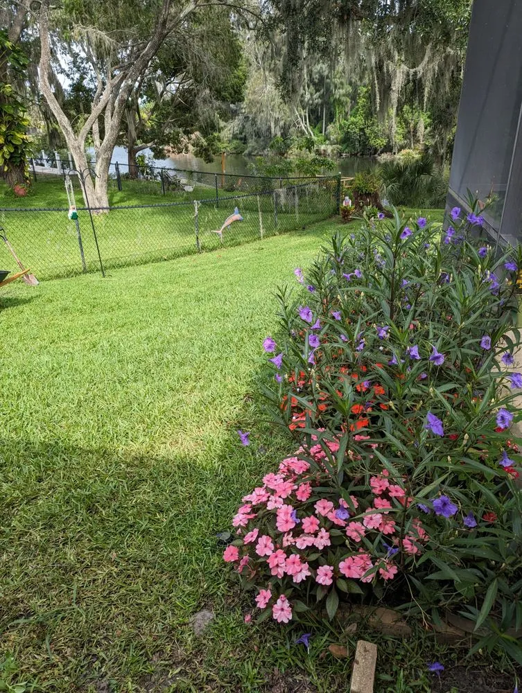 Expert yard maintenance experts serving New Port Richey, FL - Your Green Team