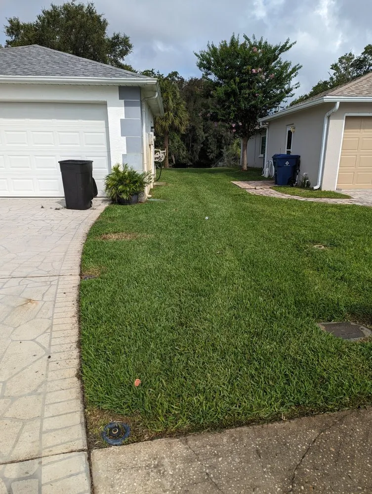 Custom landscape design experts serving New Port Richey, FL - Your Green Team