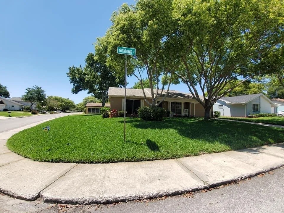 Custom landscape design experts serving New Port Richey, FL - Your Green Team