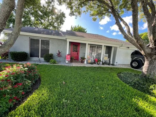 Your Green Team Logo