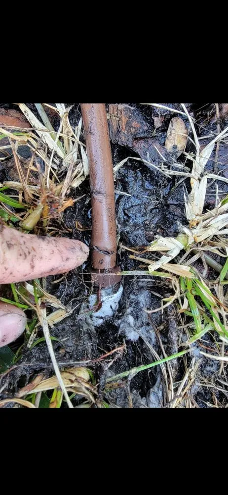 Reliable landscaping services experts serving Plant City, FL - Your Green Team