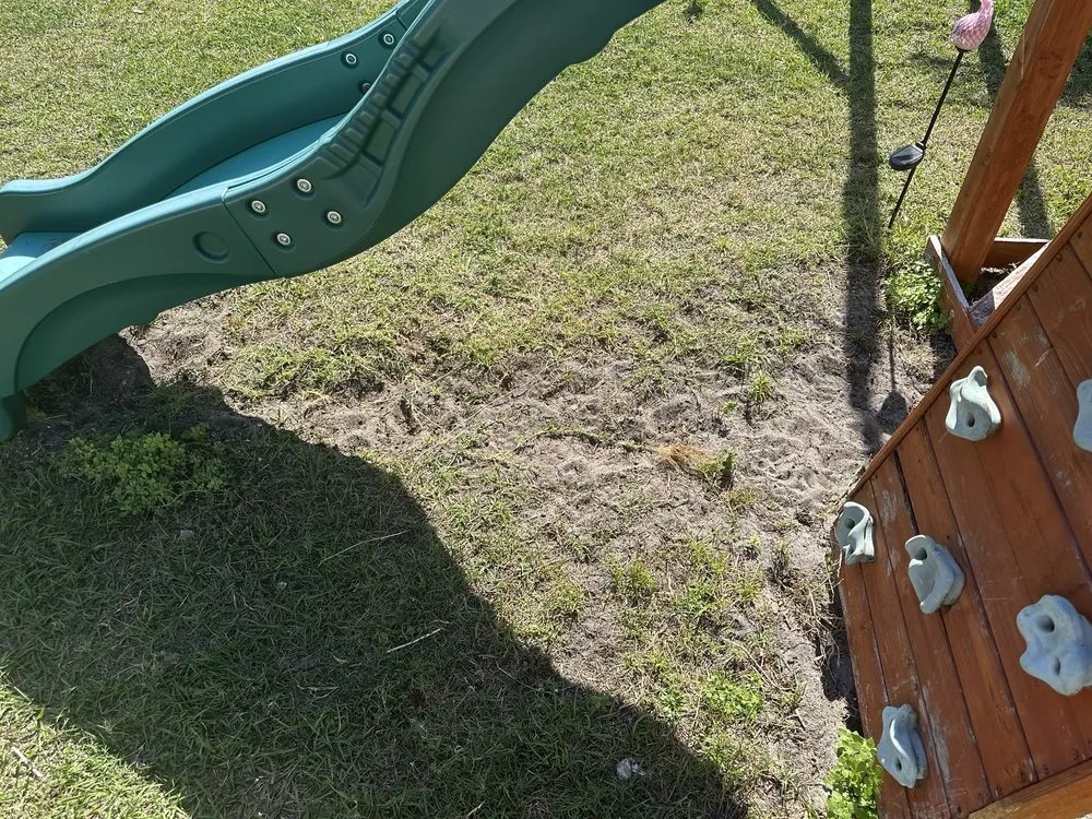 Local lawn care service near you across Plant City, FL - Your Green Team