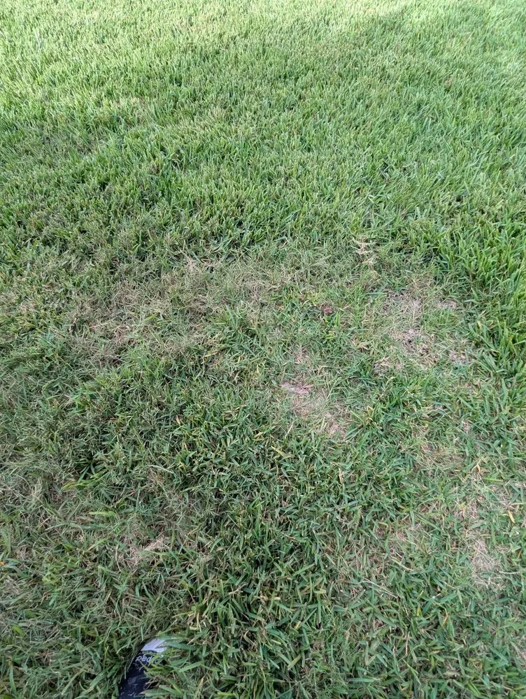 Professional landscape design in Plant City, FL - Your Green Team