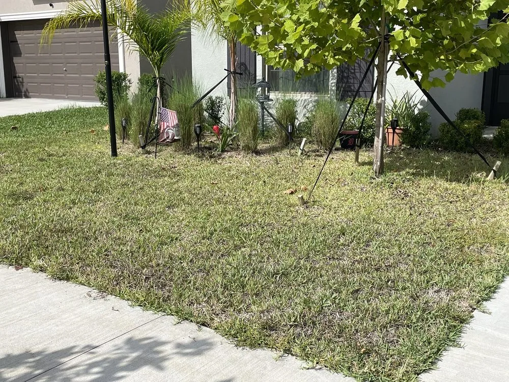 Affordable landscape design in Plant City, FL - Your Green Team