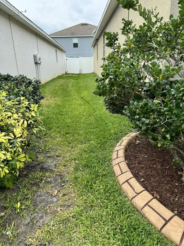 Custom lawn care service near you in Plant City, FL by Your Green Team