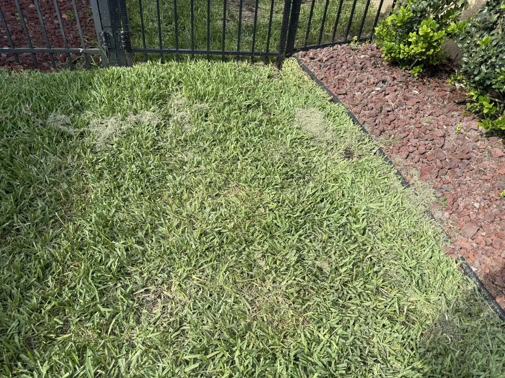 Affordable yard maintenance in Plant City, FL - Your Green Team