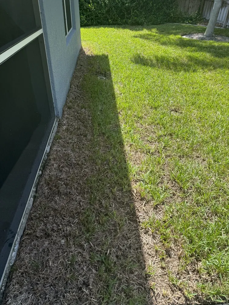 Top-rated yard maintenance in Plant City, FL - Your Green Team