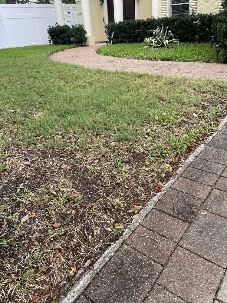 Top-rated yard cleanup service experts serving Plant City, FL - Your Green Team