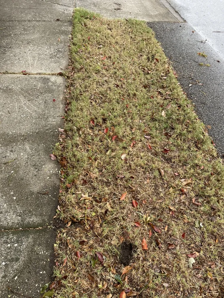 Affordable lawn mowing service in Plant City, FL - Your Green Team