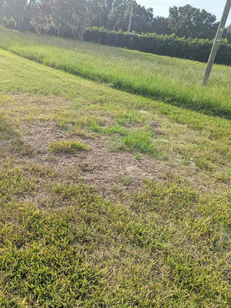 Affordable outdoor landscaping experts serving Plant City, FL - Your Green Team