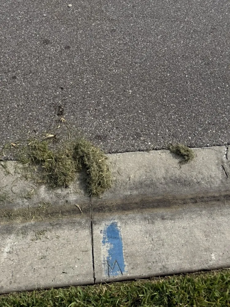 Top-rated yard maintenance in Plant City, FL by Your Green Team