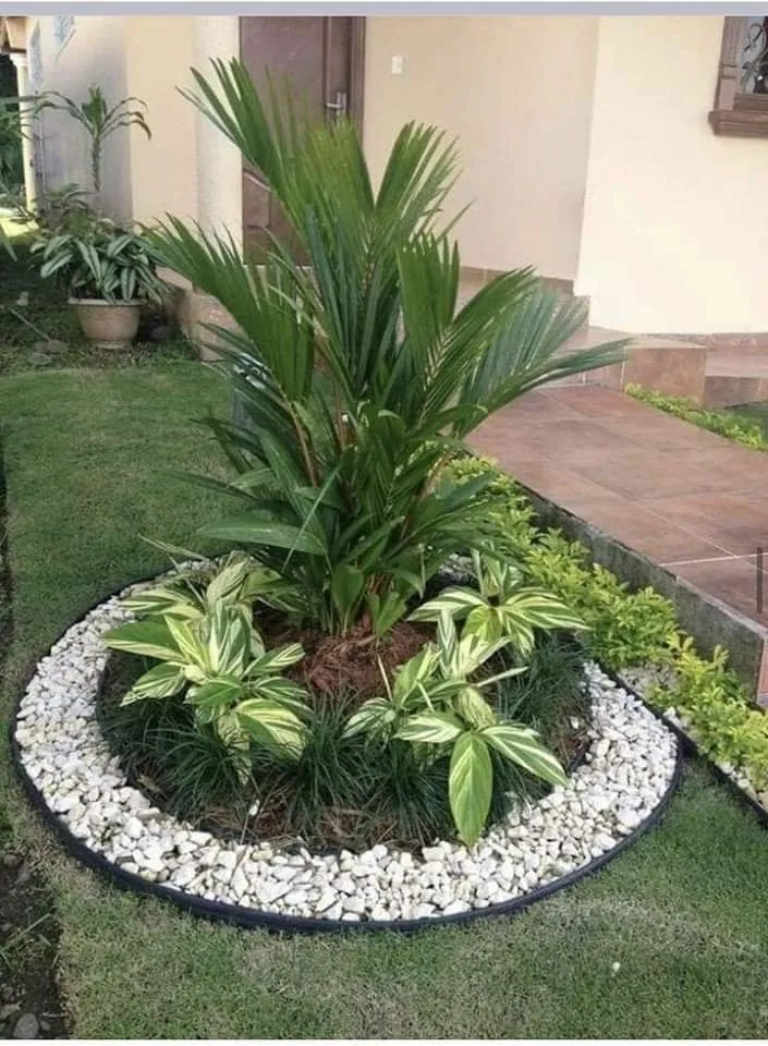 Expert yard cleanup service experts serving Porterville, CA - Your Hands Are My Hands