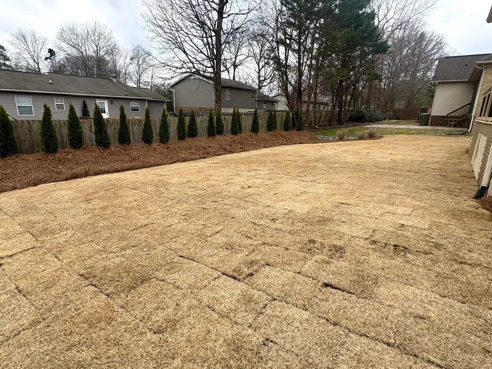 Affordable residential landscaping for outdoor upgrades across Tunnel Hill, GA - Your Home Outdoor