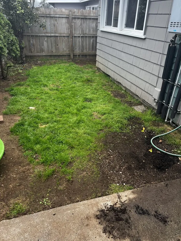 Affordable yard cleanup service for outdoor upgrades in Eureka, CA by Your Humboldt Mower