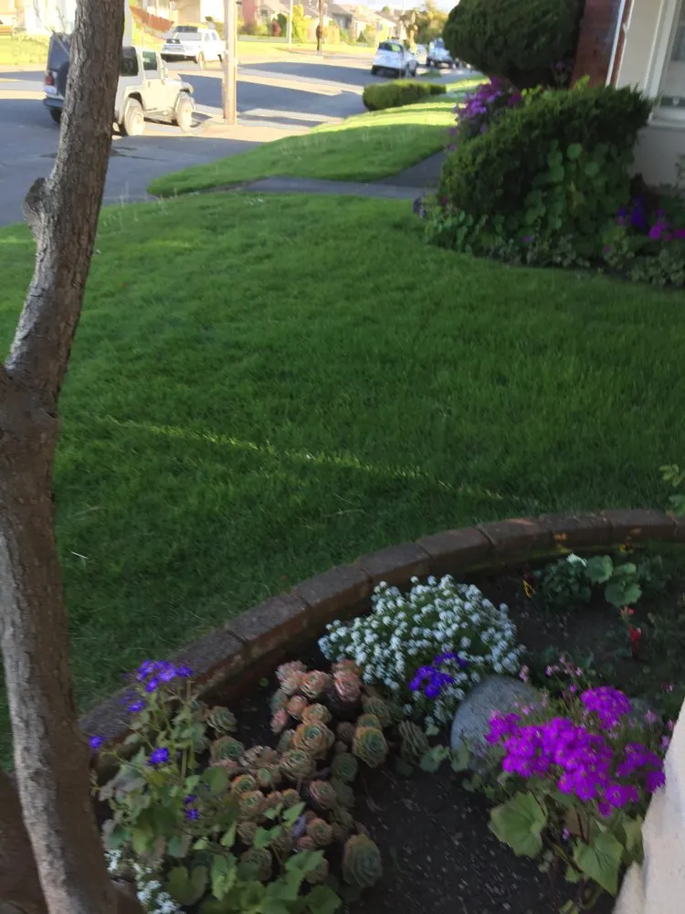 Local lawn care service for beautiful yards across Eureka, CA - Your Humboldt Mower